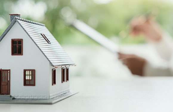 Notable new points of the amended Enterprise Law