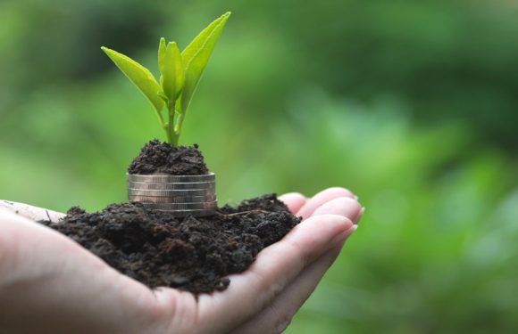 Legal News November 2023