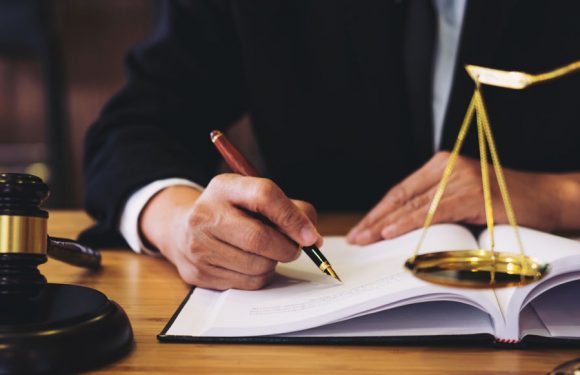 Political and Legal Environment