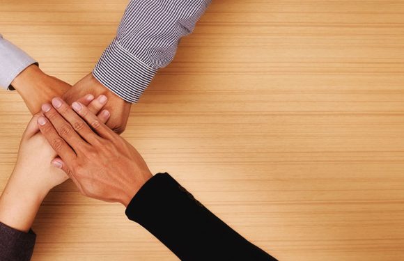 Legal News November 2019